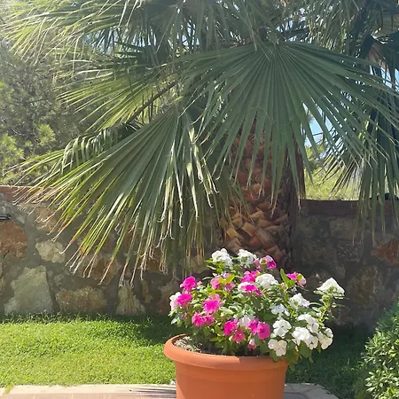 Four Seasons 1 - Ovacik 페티예